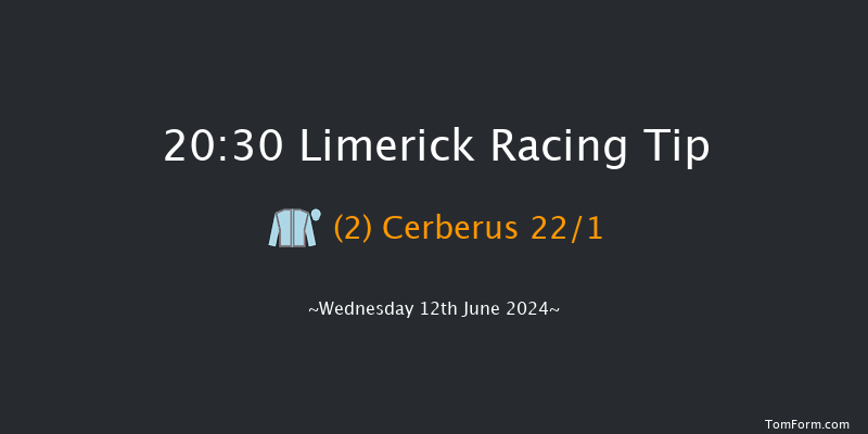 Limerick  20:30 Handicap 17f Thu 30th May 2024