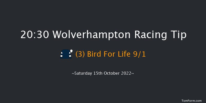 Wolverhampton 20:30 Handicap (Class 6) 16f Wed 12th Oct 2022